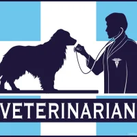 Центр скорой ветеринарной помощи Фото 2 на проекте VetSpravka.ru Центр скорой ветеринарной помощи Фото 2 на проекте VetSpravka.ru