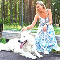 Профессиональная школа дрессировки собак Akita dog school Фото 2 на проекте Chelny.vetspravka.ru Профессиональная школа дрессировки собак Akita dog school Фото 2 на проекте Chelny.vetspravka.ru