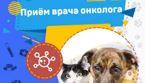 Ветеринарная клиника Свой доктор Фото 4 на проекте VetSpravka.ru