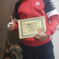 Школа Дрессировки собак Akita Dog School Фото 2 на проекте Chelny.vetspravka.ru Школа Дрессировки собак Akita Dog School Фото 2 на проекте Chelny.vetspravka.ru