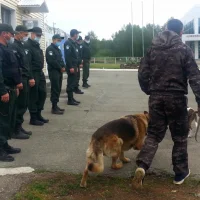 Профессиональная школа дрессировки собак Akita Dog School Фото 2 на проекте Chelny.vetspravka.ru Профессиональная школа дрессировки собак Akita Dog School Фото 2 на проекте Chelny.vetspravka.ru